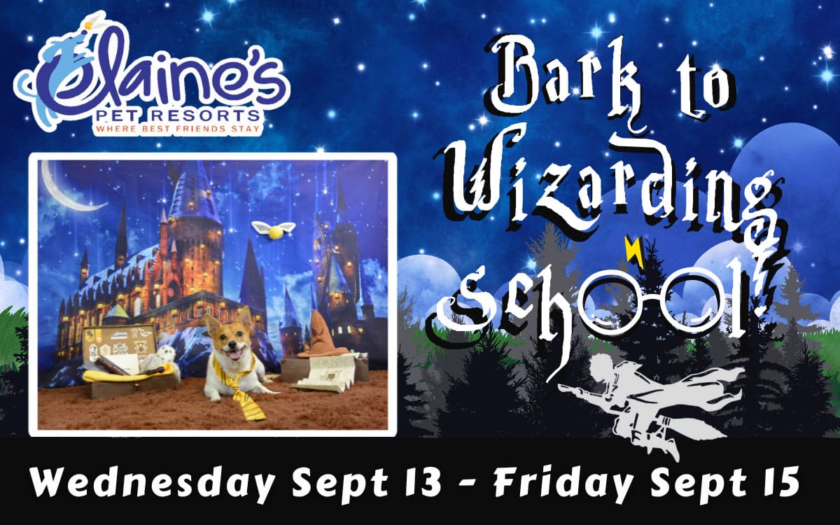 Bark to Wizarding School!