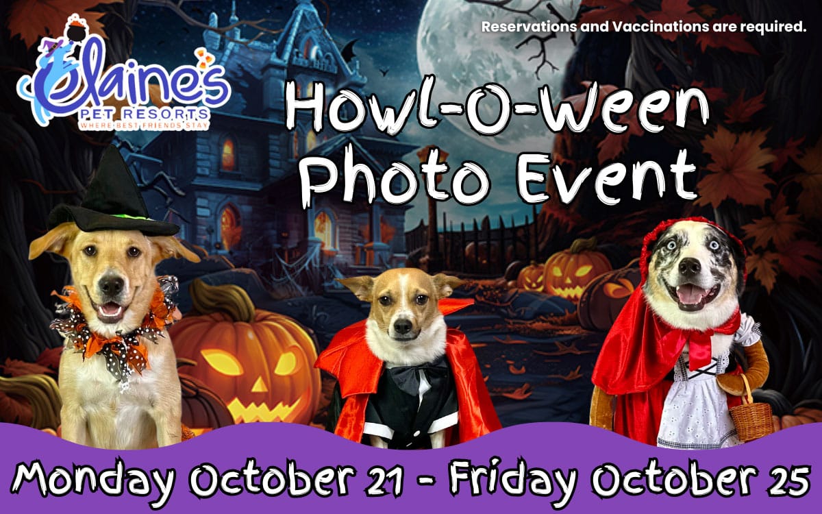 Howl-O-Ween Photo Event